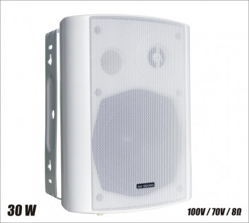 RH Sound BS-1050TS/W - głośnik
