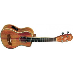 WASHBURN U 50 LCE (N) - ukulele
