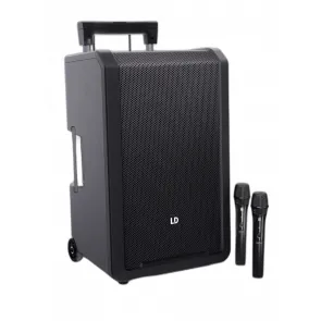 Ld Systems ANNY 12 HHD2 PA system with two wireless microphones