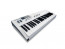 WALDORF Blofeld Keyboard white bok R