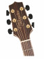 TAKAMINE GD93-NAT  detale