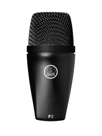 AKG P2 - high-performance dynamic bass microphone