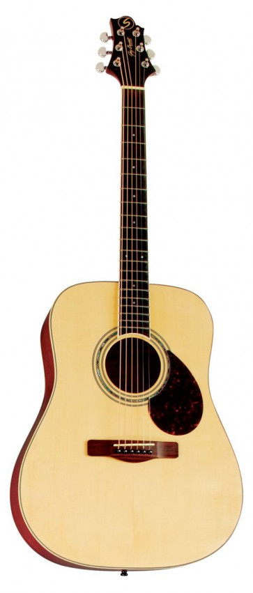 Samick D-5 N - acoustic guitar