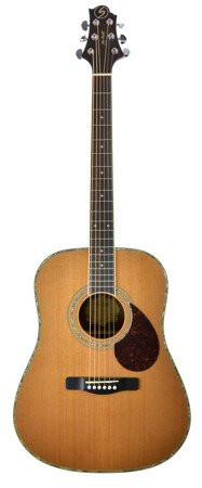 Samick D-8 N - Acoustic guitar
