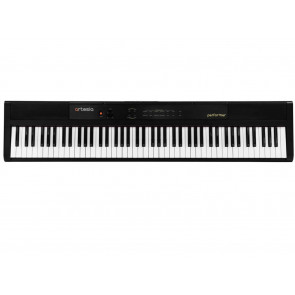 Performer- front viev