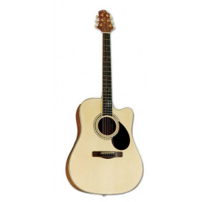 Samick GD-100SC NS - acoustic guitar
