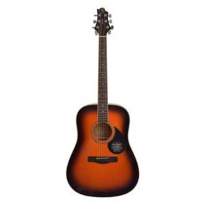 Samick GD-100S VS - acoustic guitar