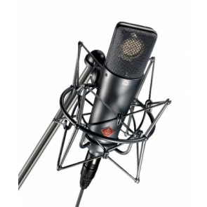 Neumann TLM 193 - large diaphragm microphone with a cardioid polar pattern.