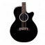 TAKAMINE EF261SBL - acoustic guitar korpus 