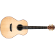 WASHBURN BTS 24 S (N) - acoustic guitar