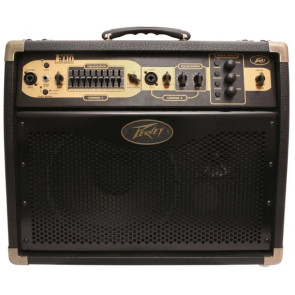 Peavey Ecoustic E110 - Akustikverstärker