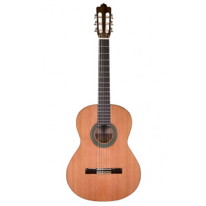 ‌Prodipe Guitars Recital 300 4/4-front