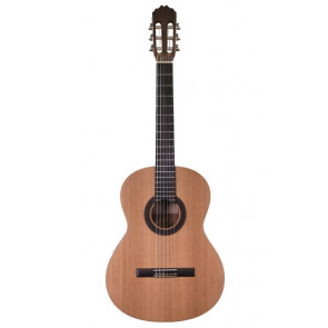 Prodipe Guitars Student 4/4-front