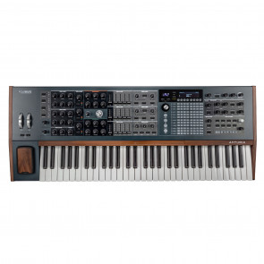 polybrute top
