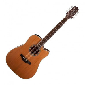  TAKAMINE GD20CE-NS