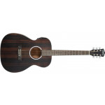 WASHBURN DF (EFE)‌ - elektroakustische Gitarre