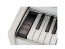 Kawai KDP-120 W - Digital Piano
 klawiatura 